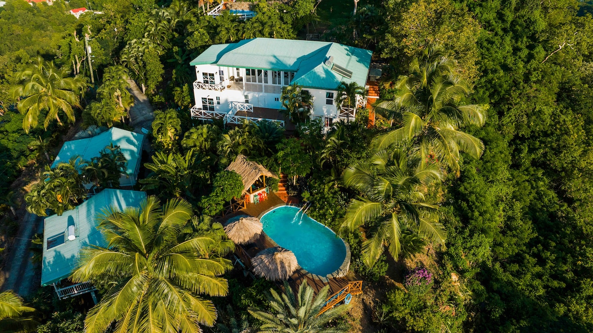 An aerial view of Villa Annona reveals the modern structure surrounded by lush greenery. A refreshing pool is situated within a tropical garden, showcasing a thatched-roof gazebo nearby. Palm trees enhance the natural setting, emphasizing the serene atmosphere of the St. Lucia landscape.