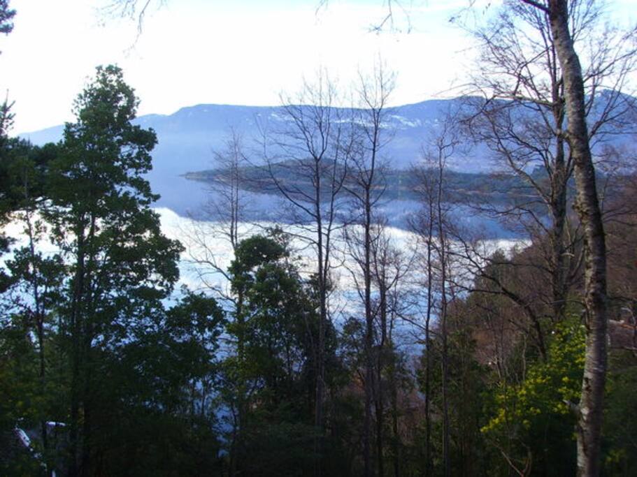 Vista que tiene desde la terraza del Depto