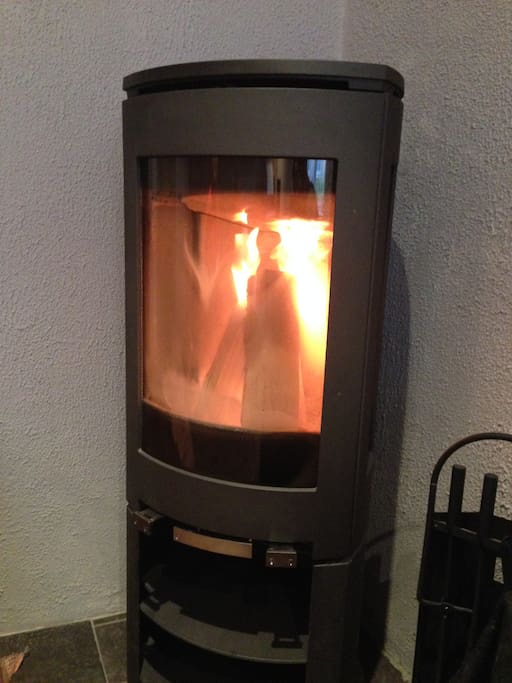 The living room fireplace. Perfect for cold winter days.