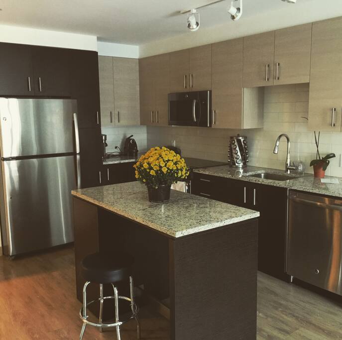 OPEN KITCHEN PLAN WITH TOP OF THE LINE APPLIANCES