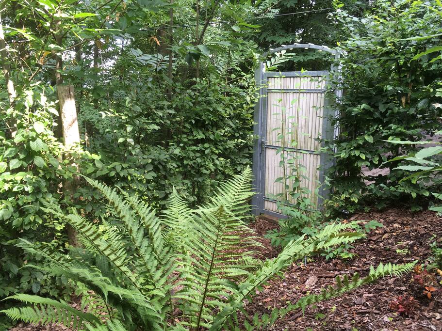 Tür zum Kastanienwald