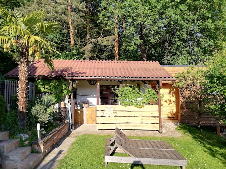 Apartamento frente al bosque