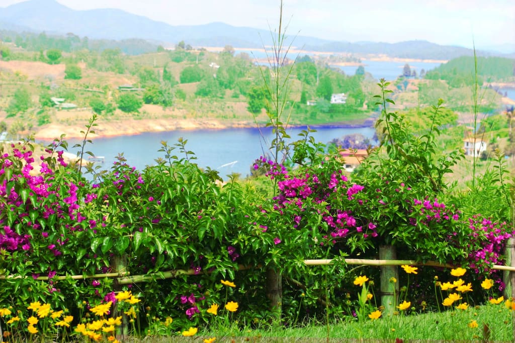 View from Garden Terrace, Patio. Garden View, Lake View, Mountain View.