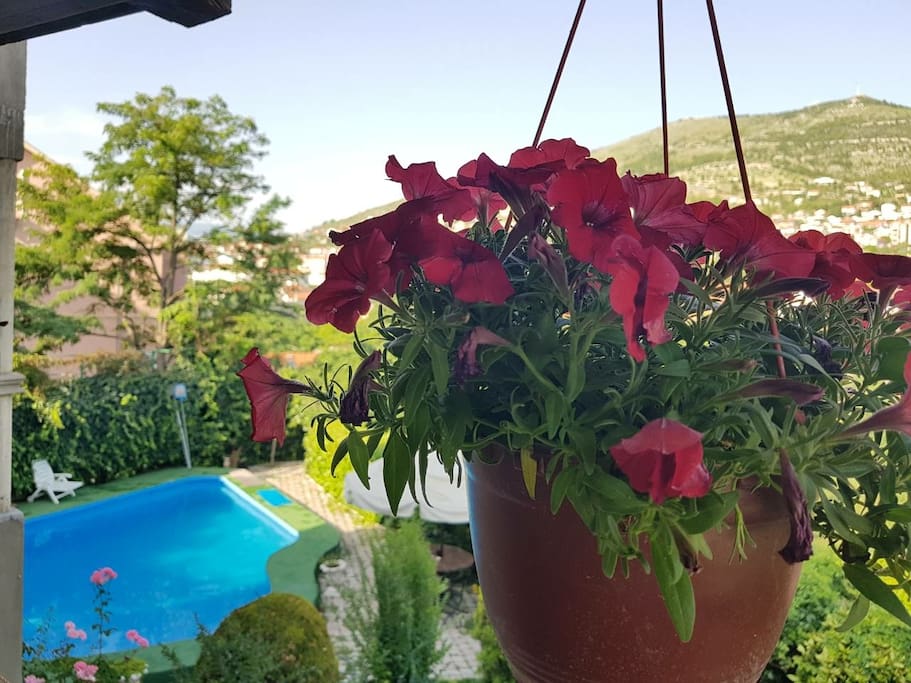 View from balcony