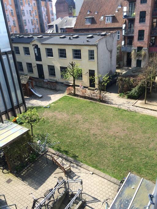 Nice and sunny backyard.