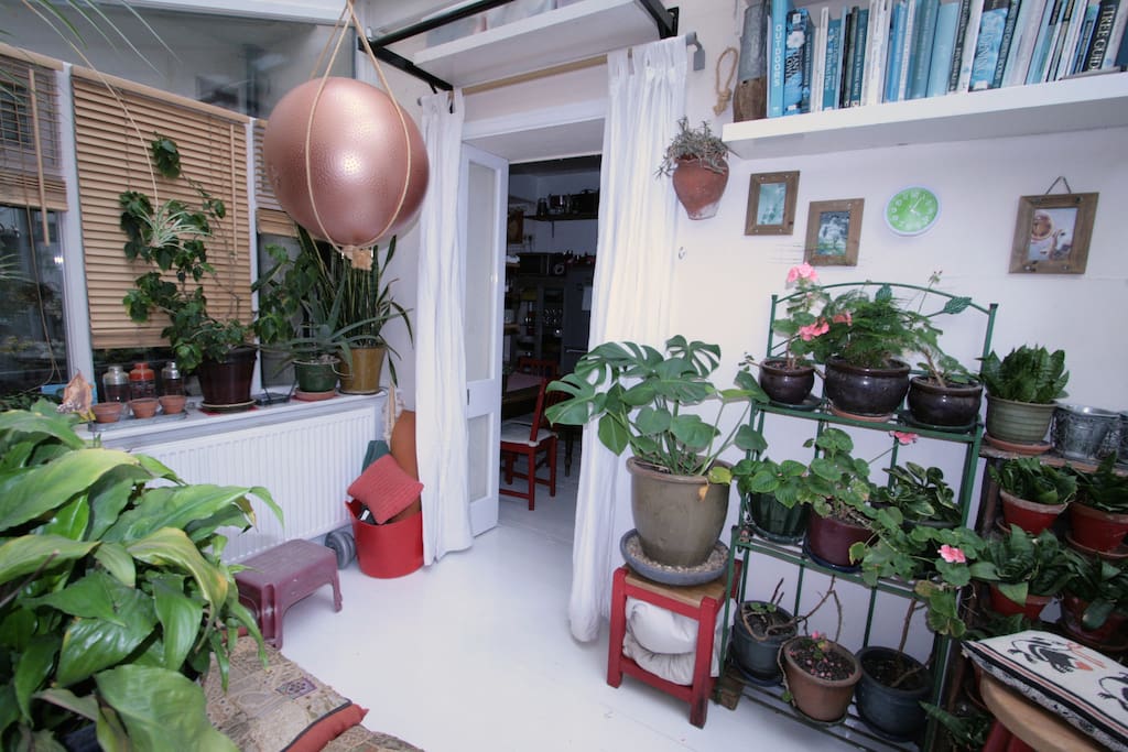 Conservatory/yoga room