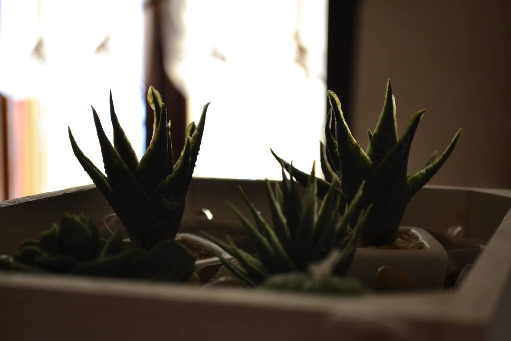 particolare