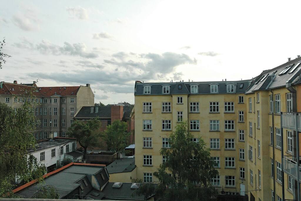 Veranda view