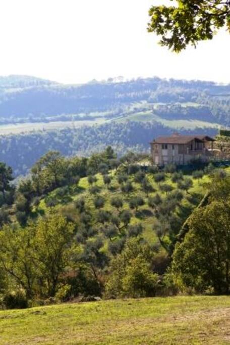 PEACE AND JOY ON THE TOP OF A GREEN HILL