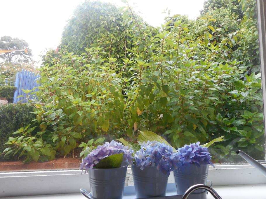 mature garden setting