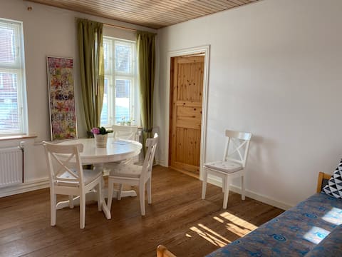 Cozy apartment within walking distance of Gram Castle