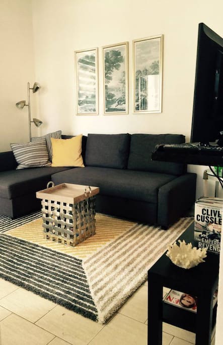 Cozy Living Room; Full Sofa Bed
