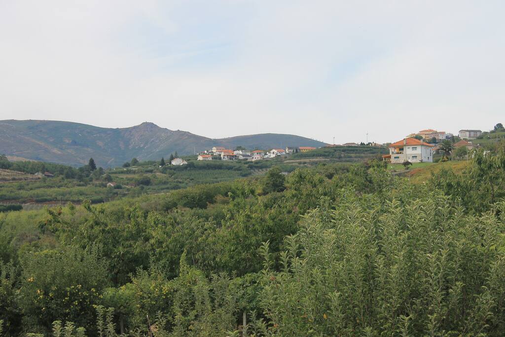 Paisagem