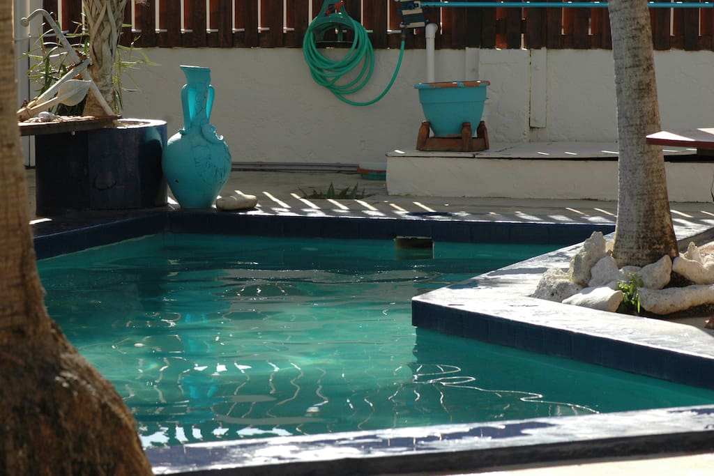 Pool in the Middle Area