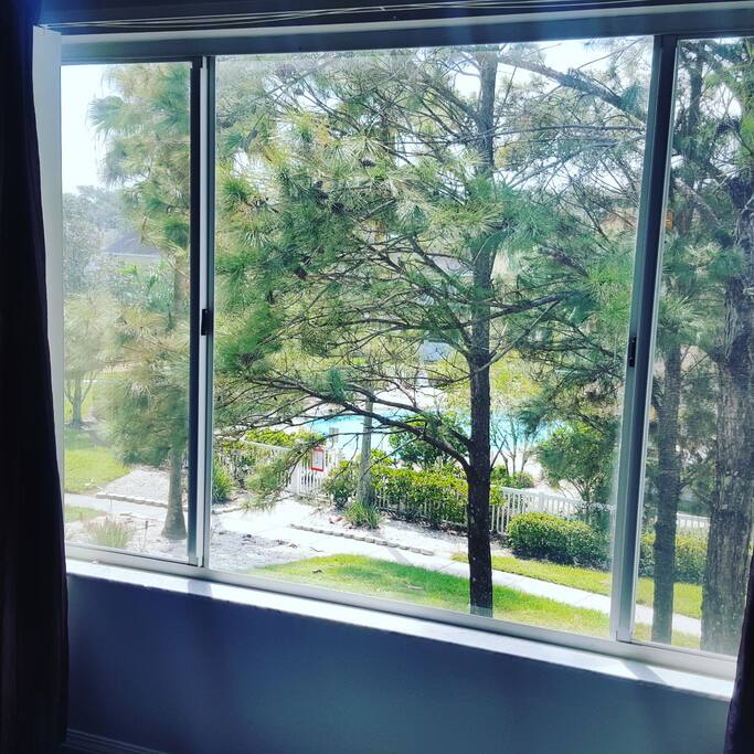 pool .. this is the view from my bed room not the guest bedroom