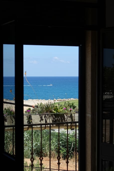 View from living room window