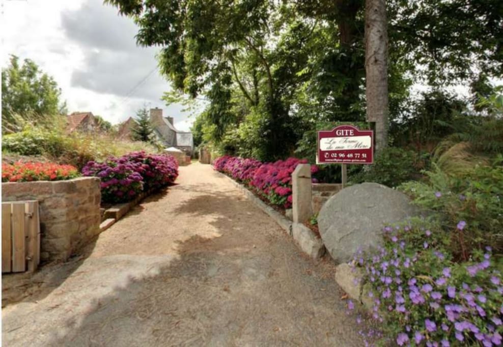 Allée d'accès au gîte "La Ferme de ma Mère"