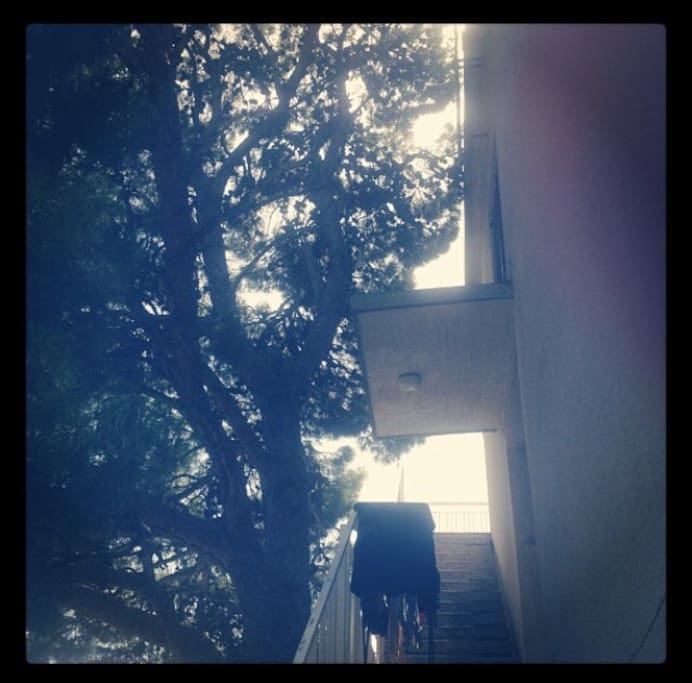 The entrance is always in a deep shade. Guests usually sit on the porch during the day, enjoying the mediteranean wind.