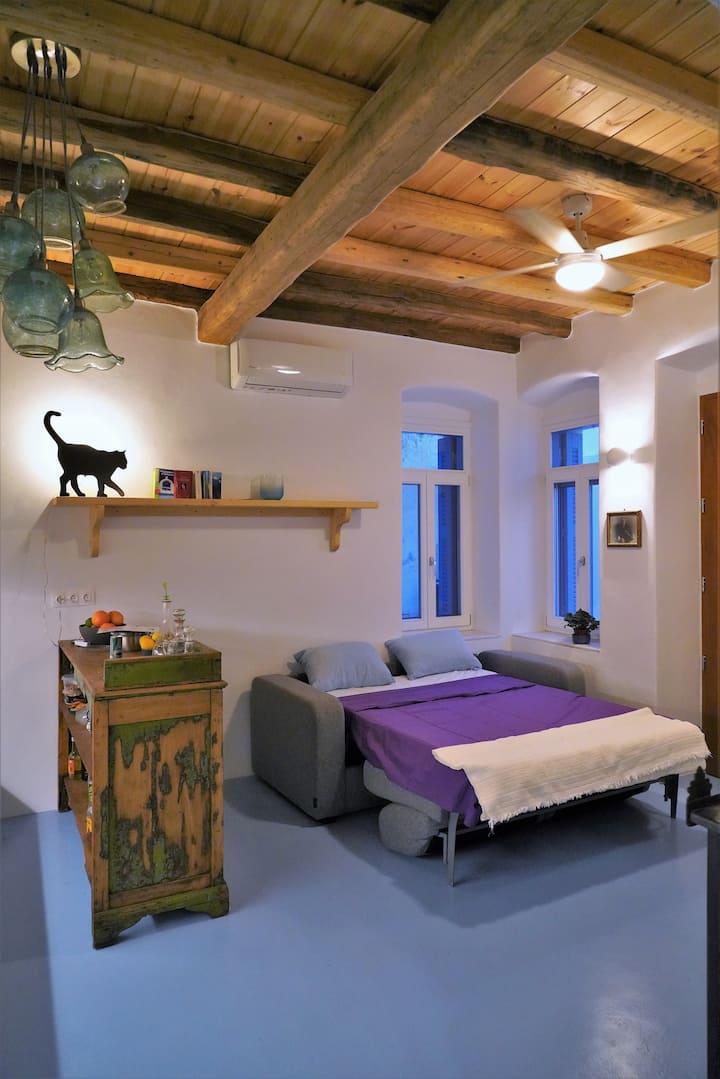 dhomë ndenjjeje, kuzhinë me divan krevat të hapur