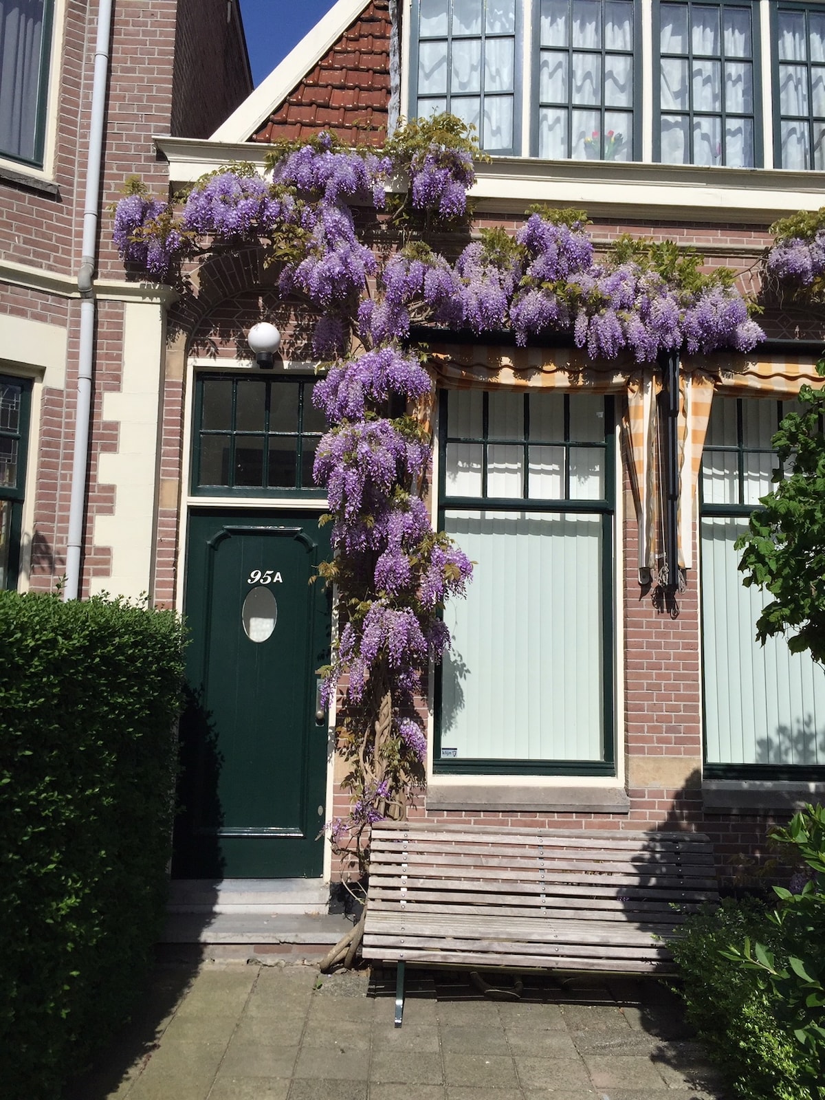 A charming building exterior showcases a green door with the number 95A prominently displayed. Purple wisteria cascades over the entrance, framed by large windows adorned with green blinds. A wooden bench sits invitingly in front of the lush greenery, creating a serene atmosphere.
