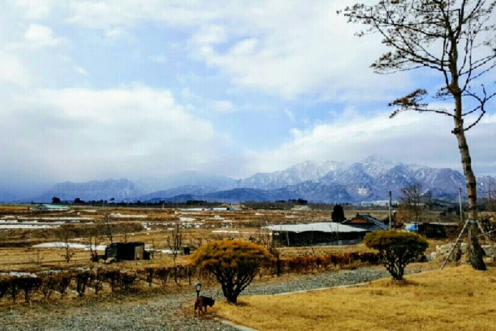 집앞 전경