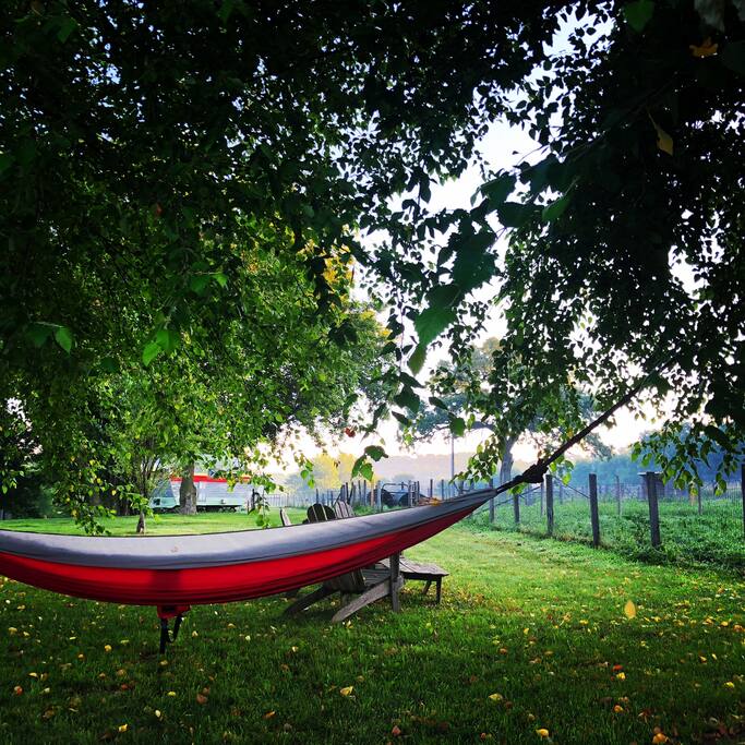 Hammock in the shade