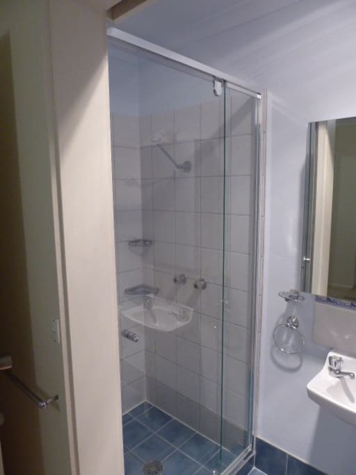 Ensuite with new shower, mirror cabinet