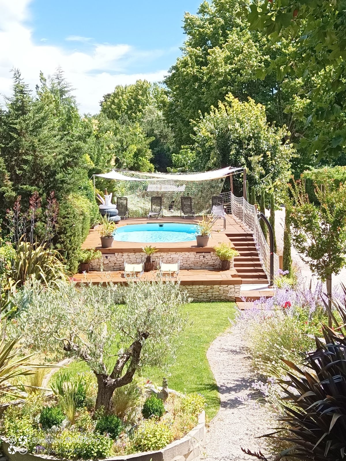 The outdoor area features a peaceful garden with a variety of plants and a central pool surrounded by wooden decking. Comfortable seating is positioned under a shaded canopy, while harmonious landscaping creates a relaxed atmosphere. The scene is framed by lush trees under a clear sky.