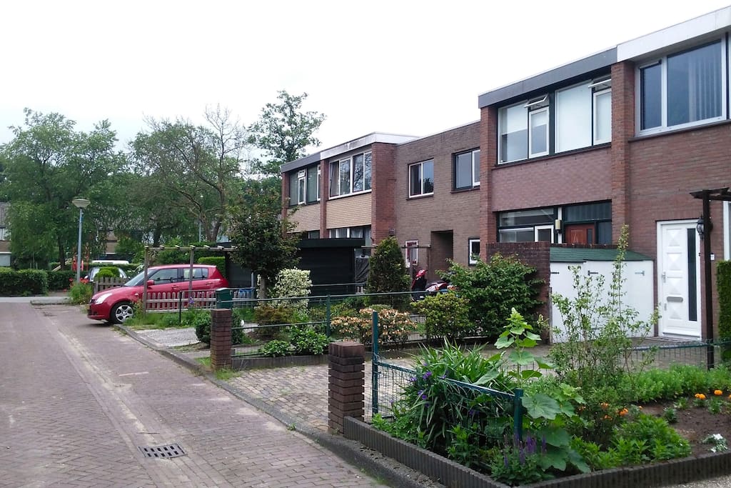 De straat.
Streetview