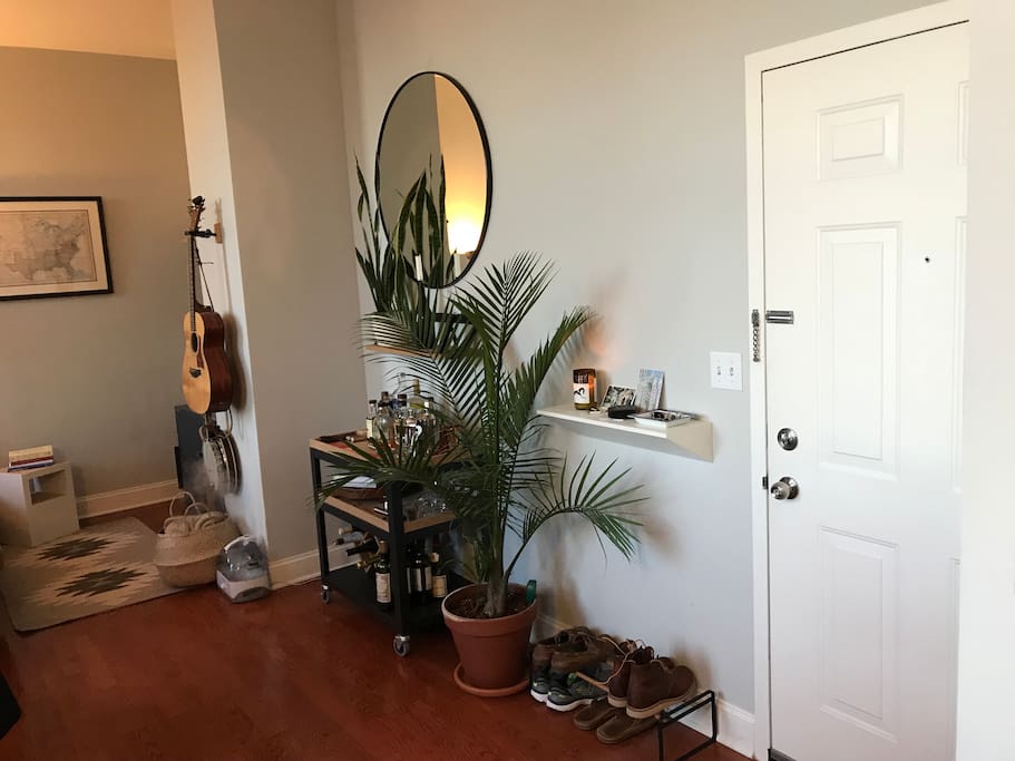 Entry door and living room