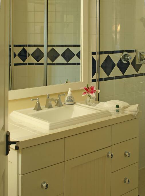 Large shower with rainwater feature