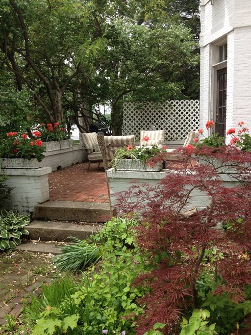 Back patio with Jacuzzi