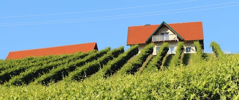 Ferienhaus Weingartenhaus