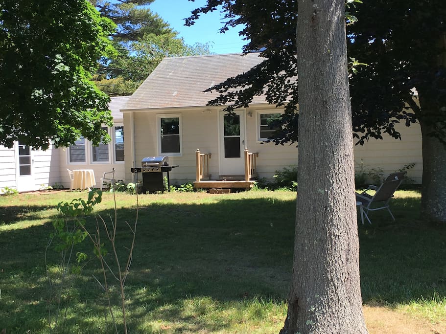 View of back yard and back of house