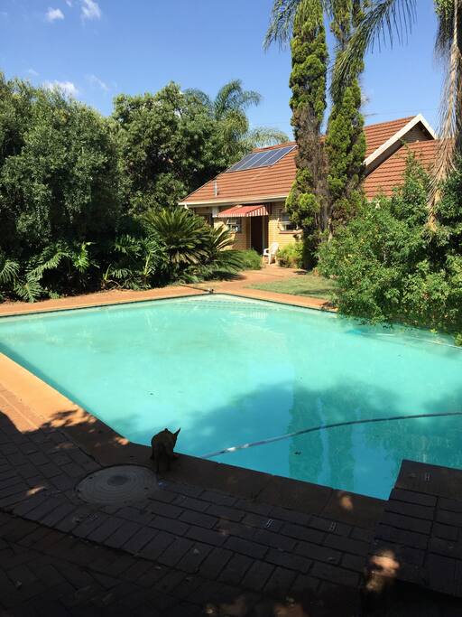 LARGE SWIMMING POOL