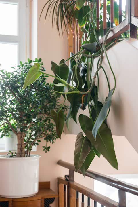 Successful Airbnb property: Centrally located apartment Prague in Praha 10