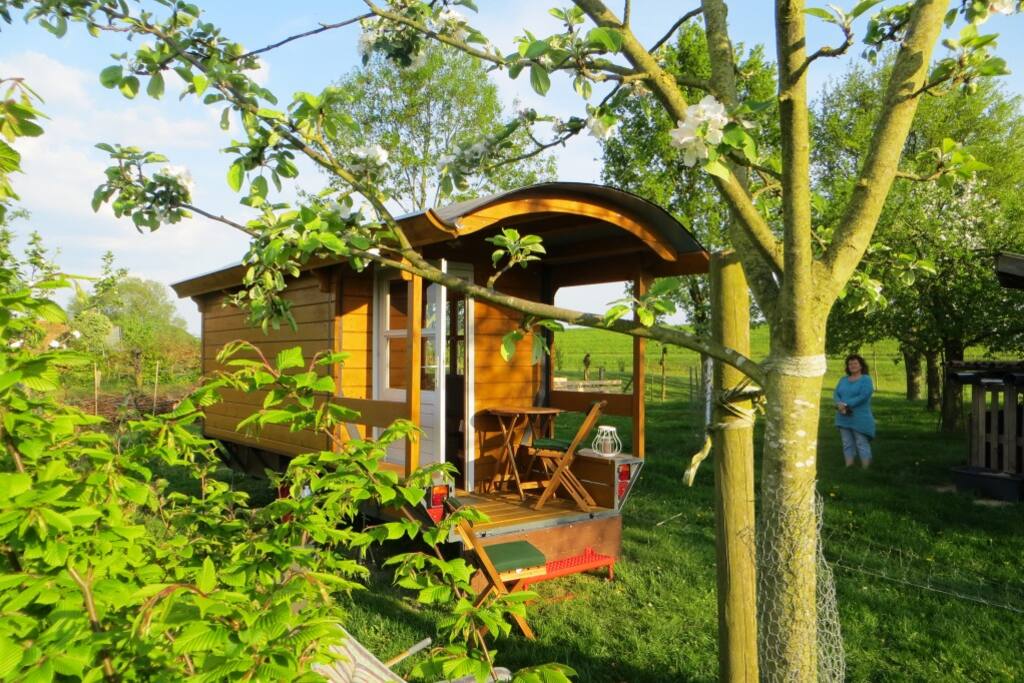 Bauwagen hinter blühendem Apfelbaum