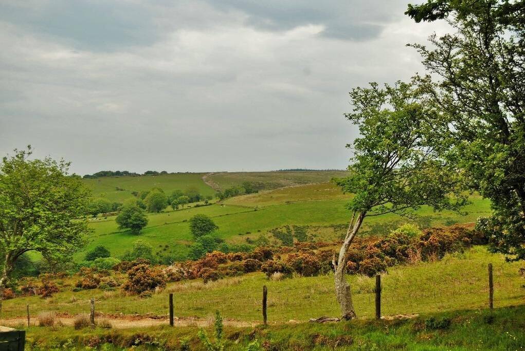 Our fields beyond