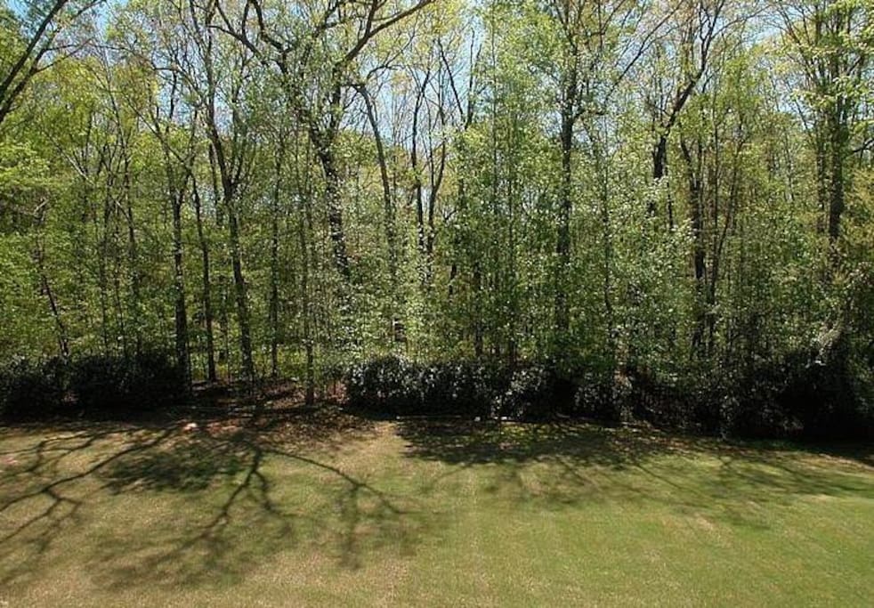Private, expansive backyard.