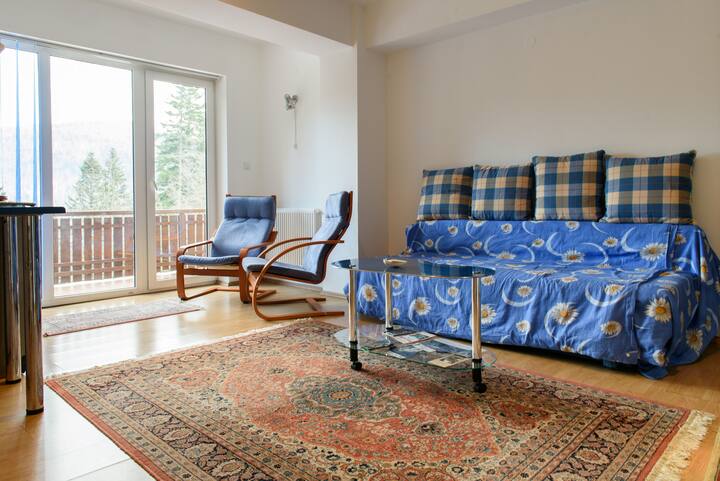 Splendid Mountainview 2 Room Flat By Peles Castle - Sinaia