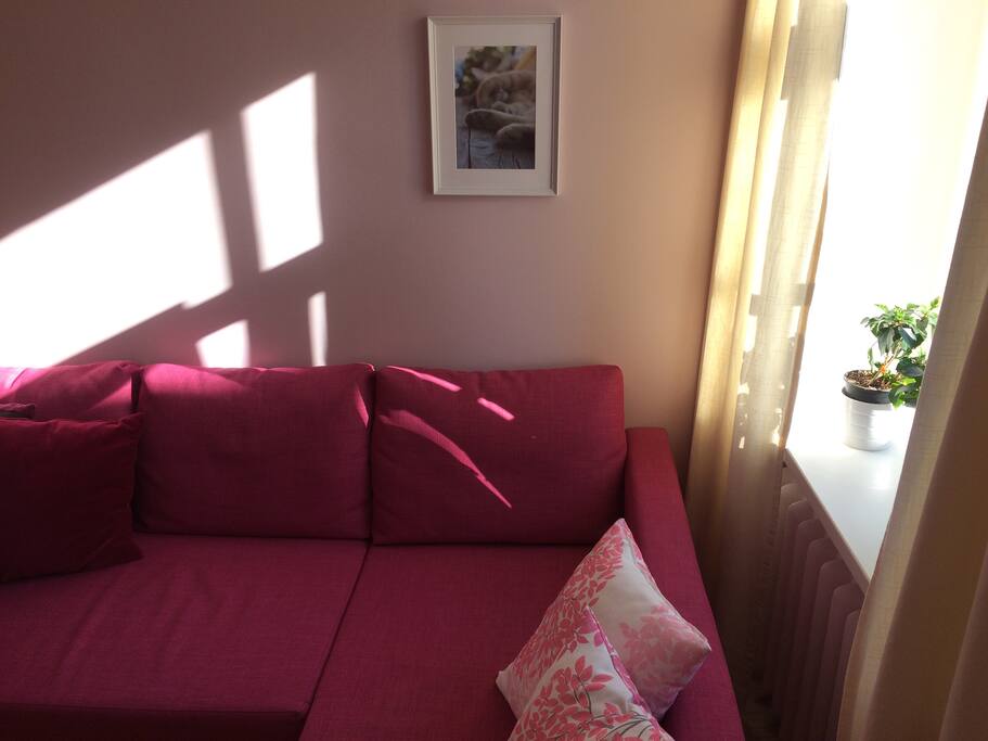 I decorated my home with art from Latvian artists and photos made by me (like this shot of a sleeping cat).