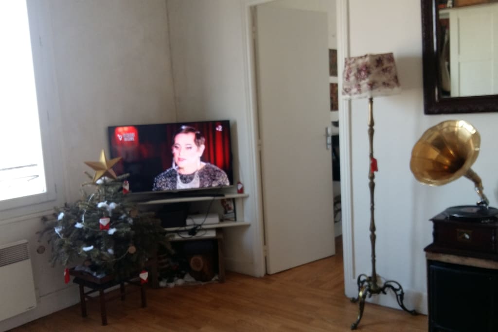 Salon/Chambre, vue du canapé/lit