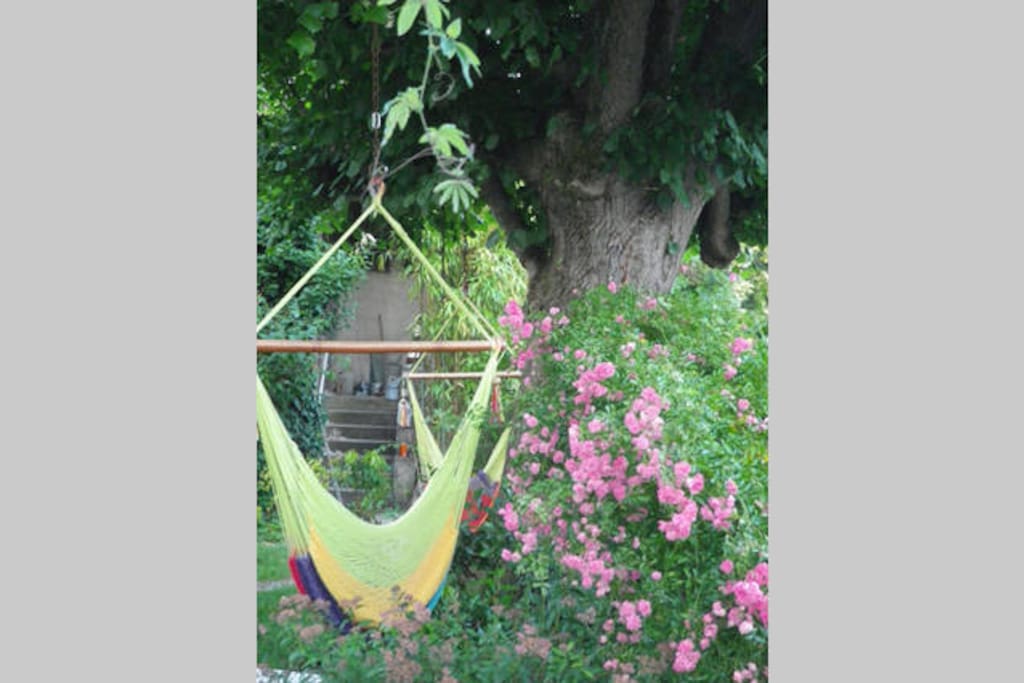 Le jardin