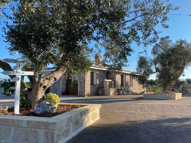 Tenuta degli ulivi gallery image 2