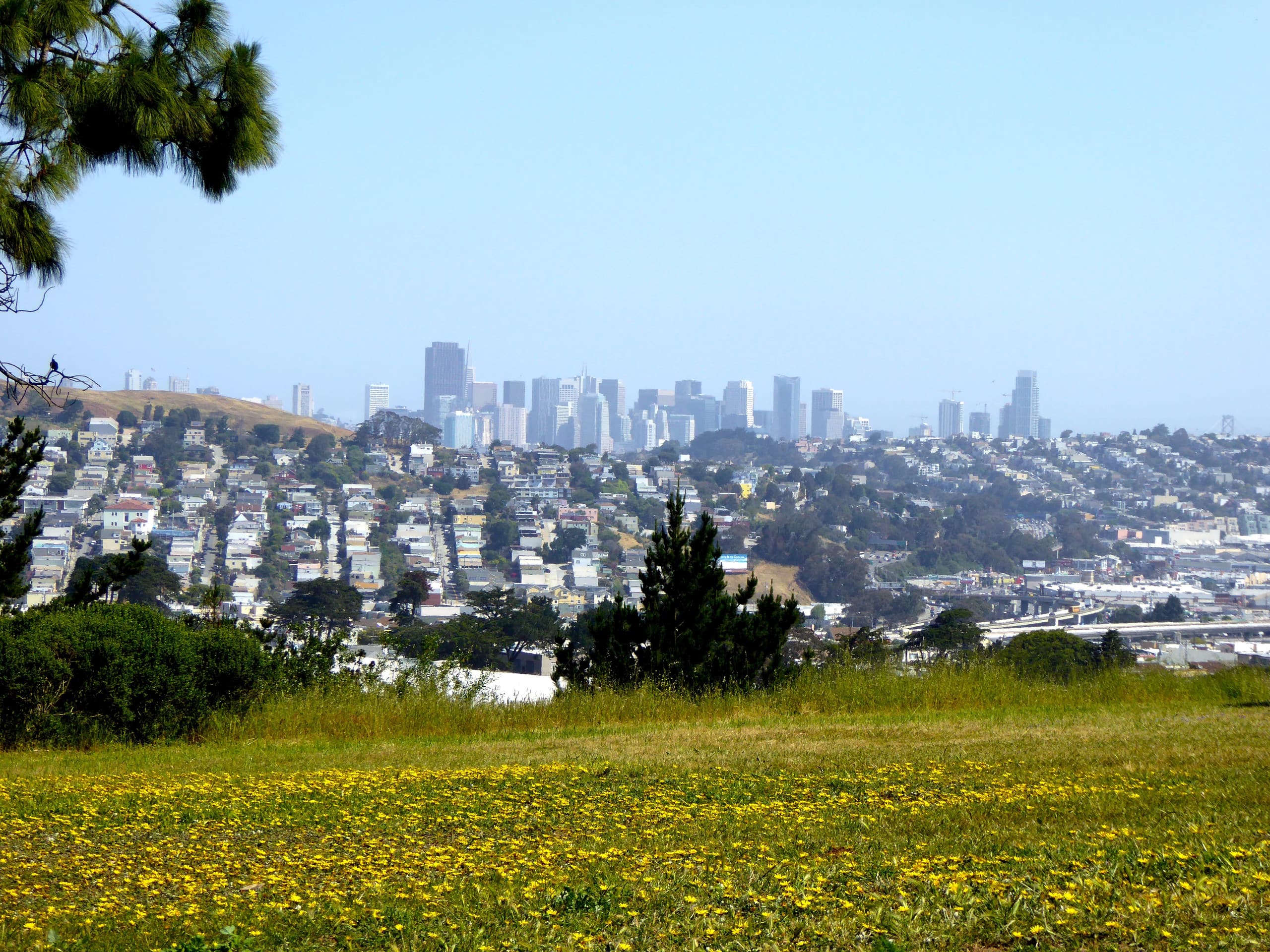 Home in San Francisco · ★4.82 · 3 bedrooms · 3 beds · 2 baths - Image 30
