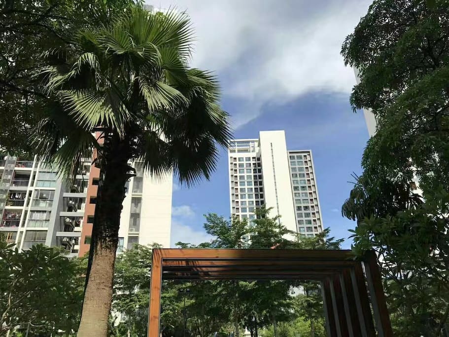 小区环境