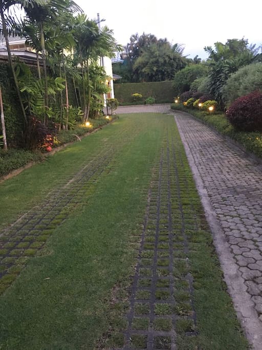 Long Driveway to house