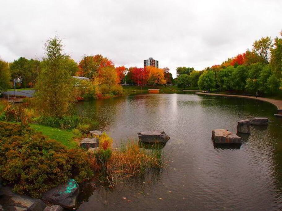 Parc Lafontaine, 1 street away