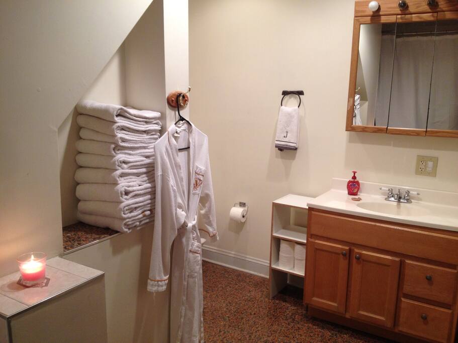 Nice clean Bathroom with clean towel.