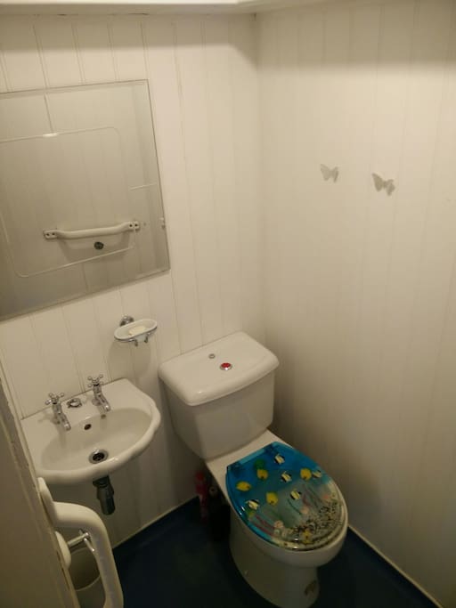 Separate toilet and sink with mirror exclusively used by guests.